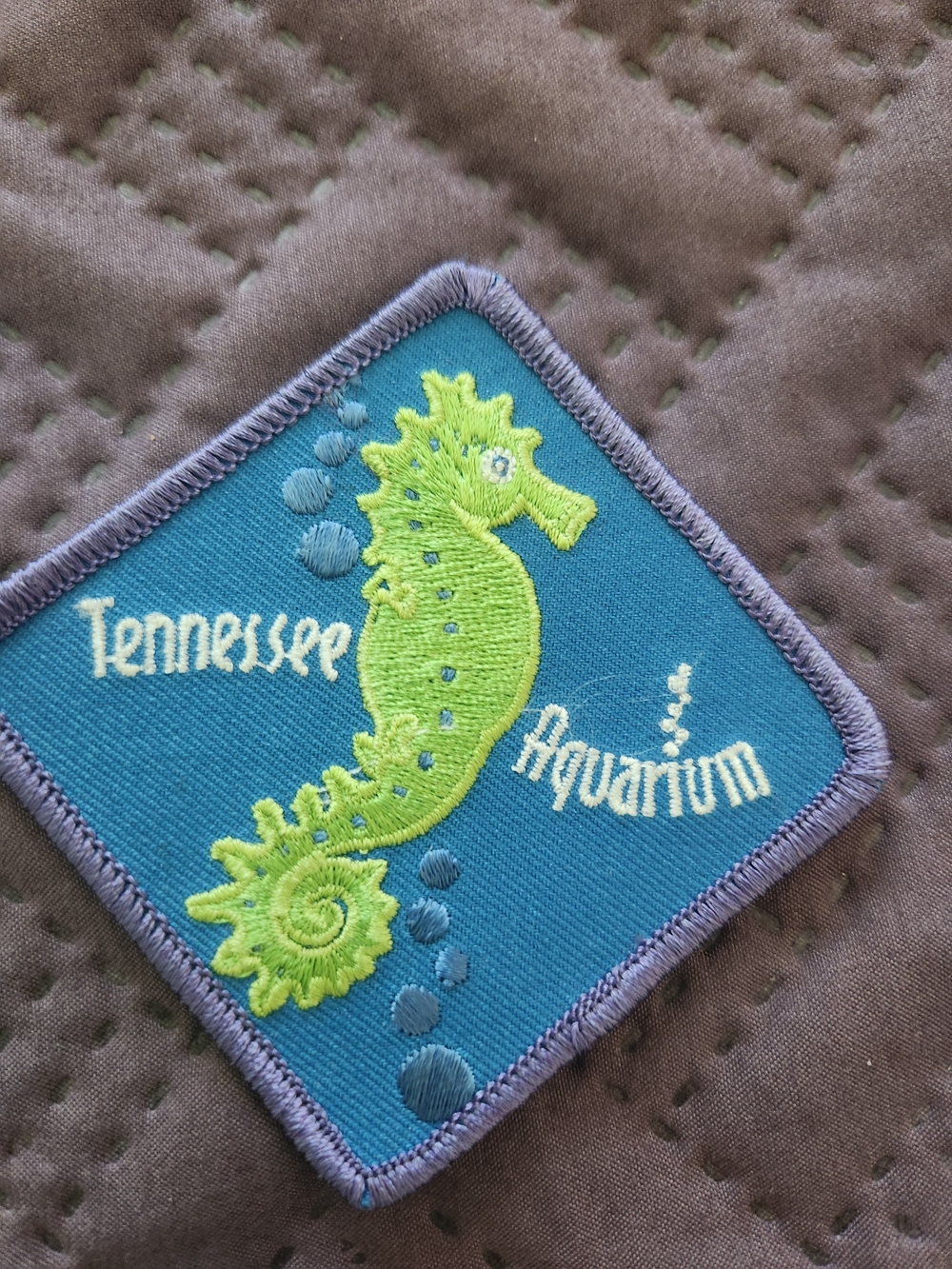 Kids Patch — Blue & Lime Seahorse Embroidered Badge